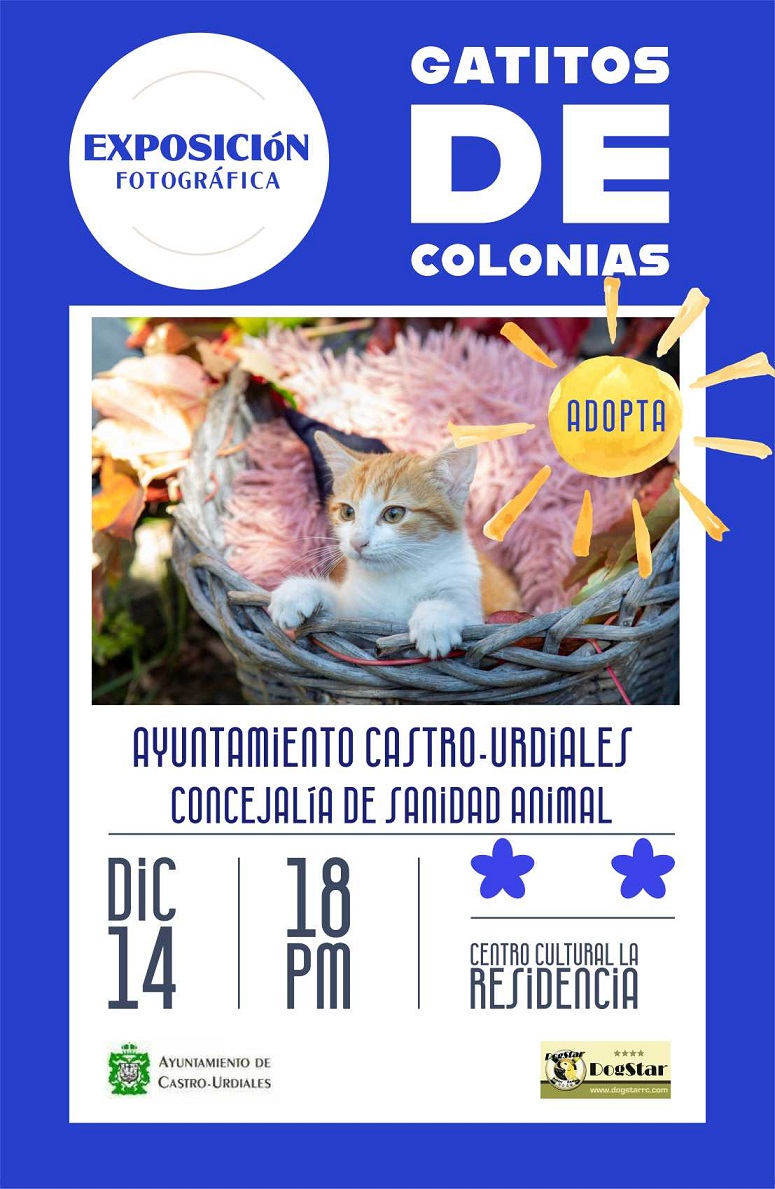 Exposición Fotografíca "Gatitos de colonias"