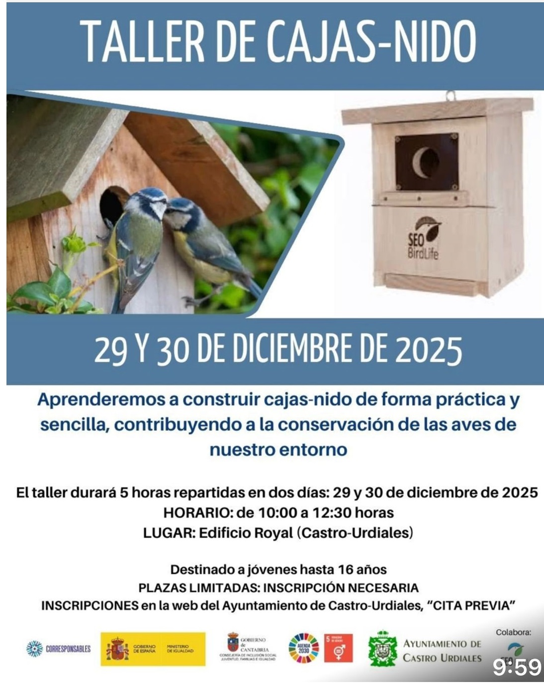 Talleres SEO Bird life :  Taller de Cajas de Nido y Paseo Ornitológico